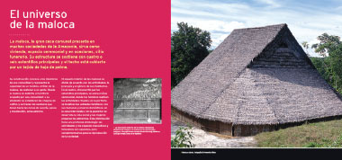 Cat&aacute;logo interna